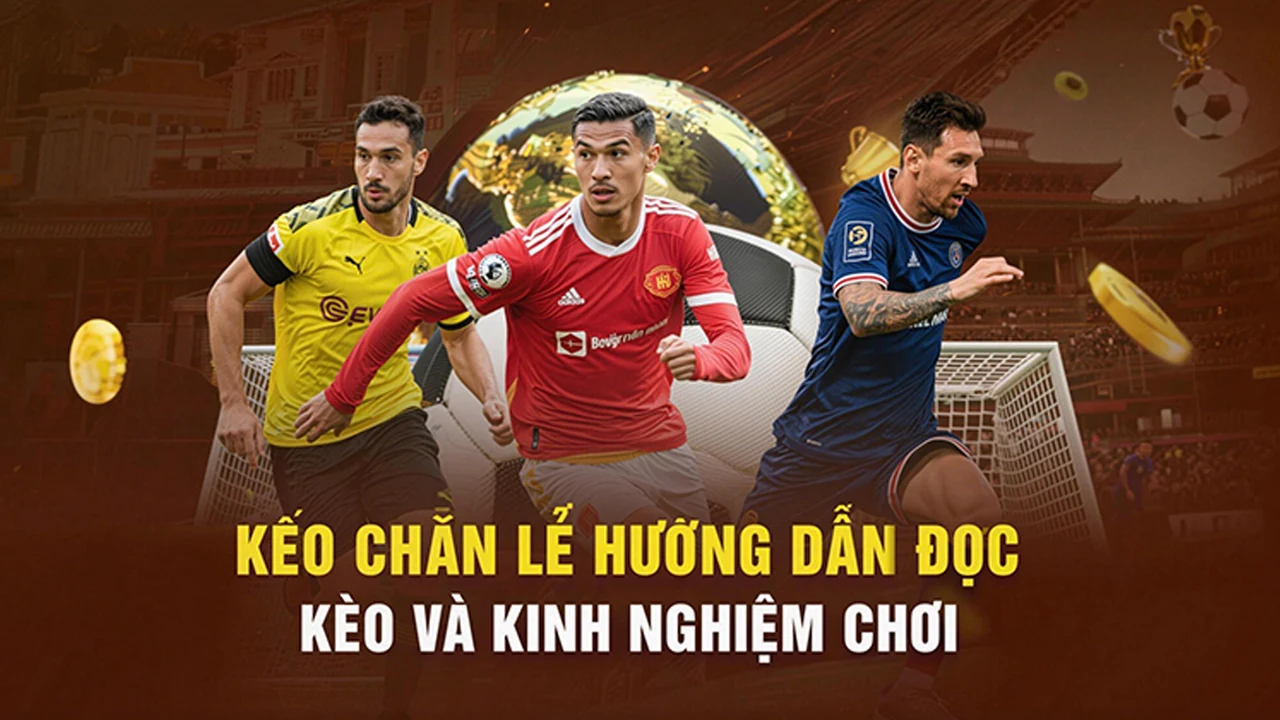 Tải app trên NW88 – bước kiểm tra thực tế